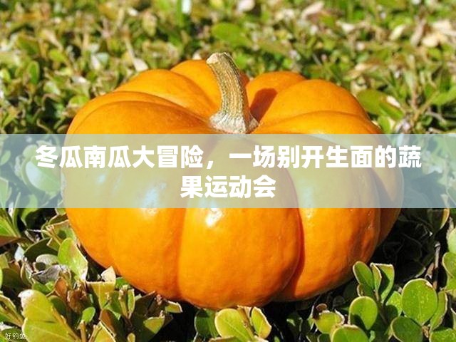 蔬果運動會，冬瓜南瓜的別開生面大冒險  第1張
