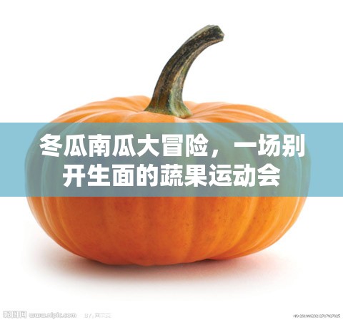 蔬果運動會，冬瓜南瓜的別開生面大冒險  第2張