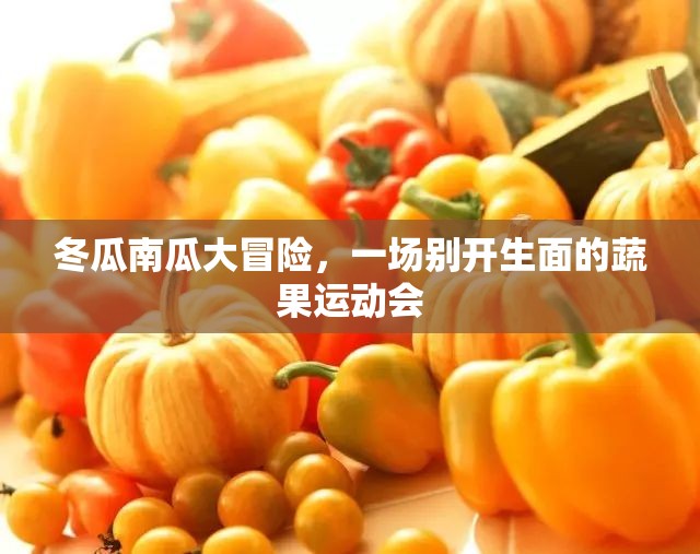 蔬果運動會，冬瓜南瓜的別開生面大冒險  第3張
