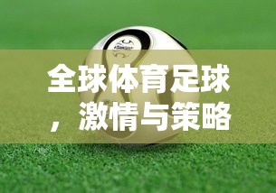 數(shù)字綠茵場(chǎng)，全球體育足球的激情與策略并進(jìn)