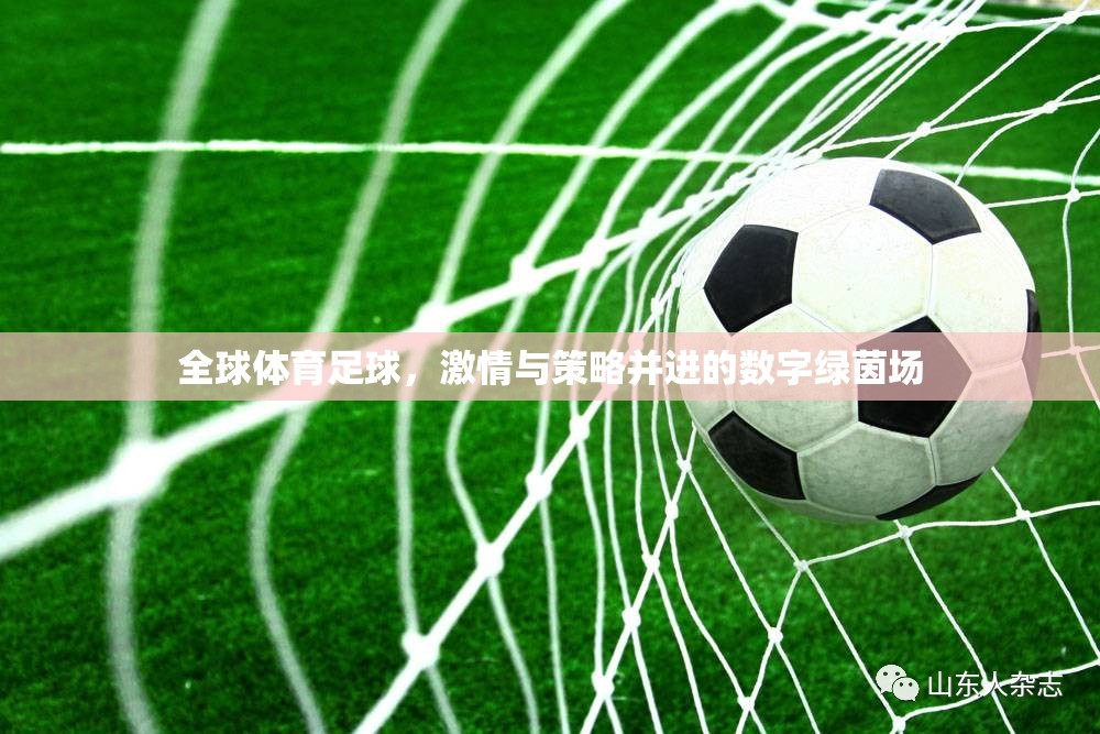 數(shù)字綠茵場(chǎng)，全球體育足球的激情與策略并進(jìn)