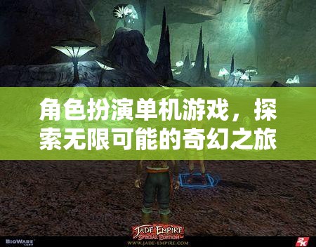 角色扮演單機(jī)游戲，探索無限可能的奇幻之旅