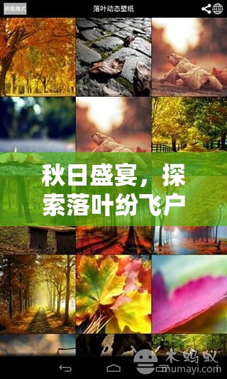 秋日盛宴，探索落葉紛飛戶外體育游戲
