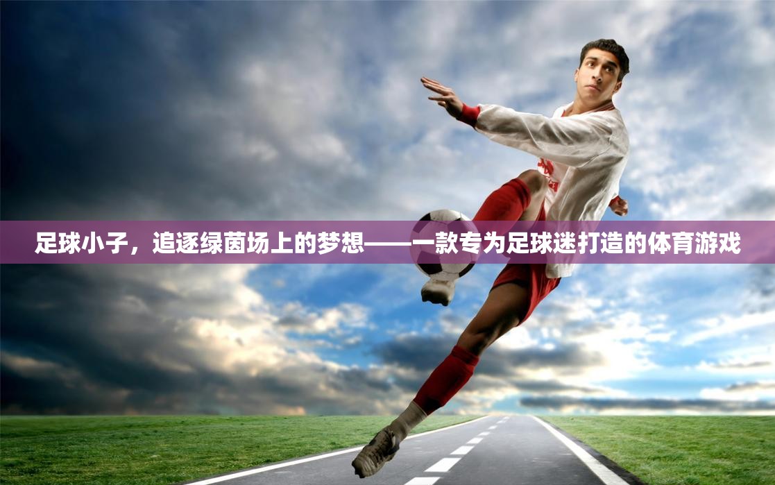 足球小子，追逐綠茵場(chǎng)上的夢(mèng)想——足球迷的專屬體育游戲  第1張