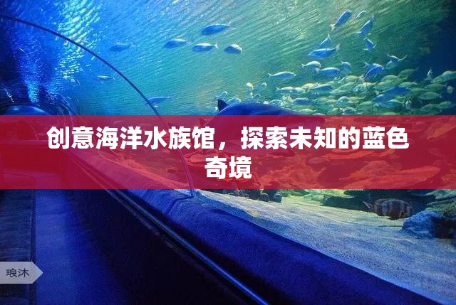 藍(lán)色奇境，創(chuàng)意海洋水族館的探索之旅