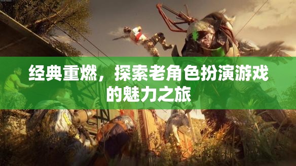 經(jīng)典重燃，探索老角色扮演游戲的魅力之旅  第2張