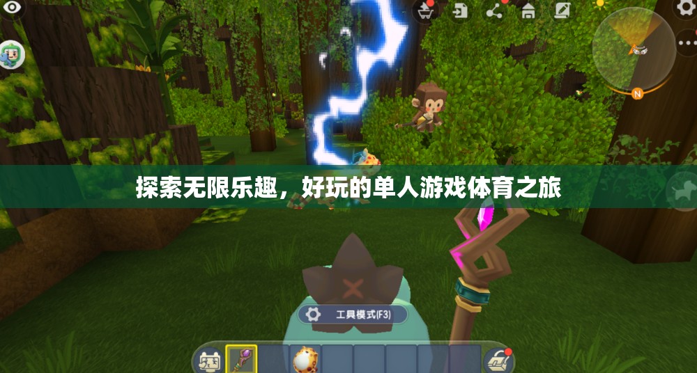 單人游戲體育之旅，解鎖無限樂趣的探索