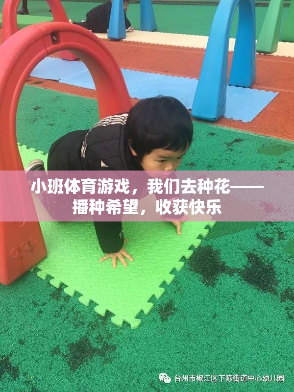 小班體育游戲，我們?nèi)シN花——播種希望，收獲快樂(lè)