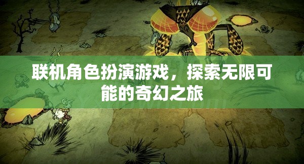 探索無(wú)限奇幻，聯(lián)機(jī)角色扮演游戲的奇妙之旅