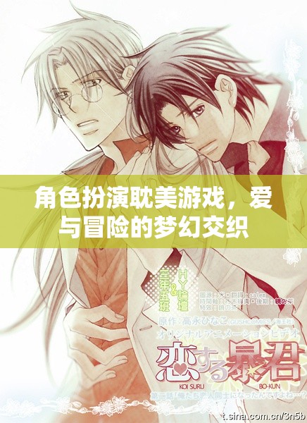 愛與冒險(xiǎn)的夢(mèng)幻交織，耽美角色扮演游戲之旅