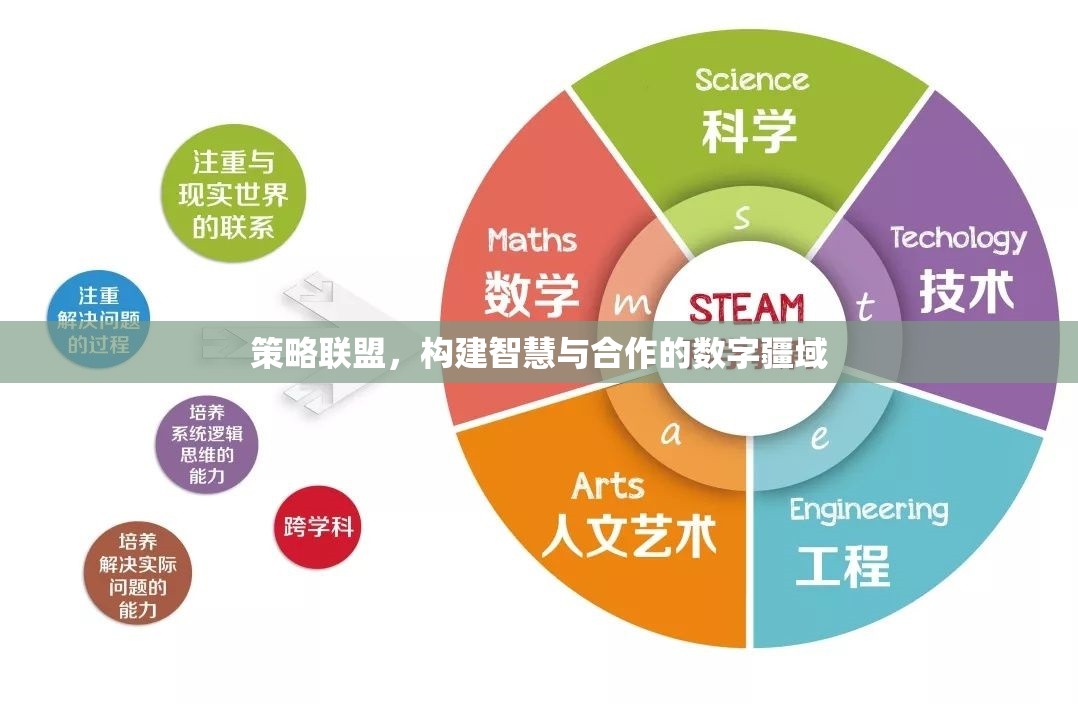 智慧合作，構(gòu)建策略聯(lián)盟的數(shù)字疆域