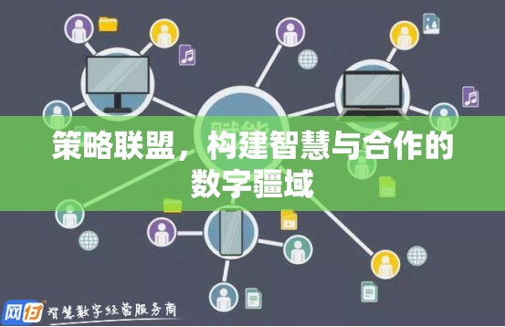 智慧合作，構(gòu)建策略聯(lián)盟的數(shù)字疆域