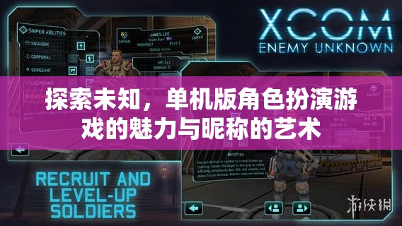 探索未知，單機(jī)版角色扮演游戲中的昵稱藝術(shù)與魅力