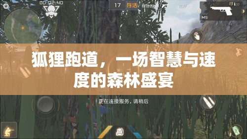 智慧與速度的森林盛宴，狐貍跑道