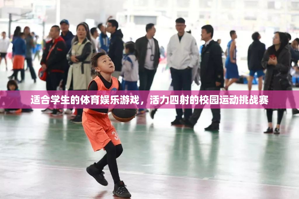 校園活力四射，學(xué)生體育娛樂游戲挑戰(zhàn)賽