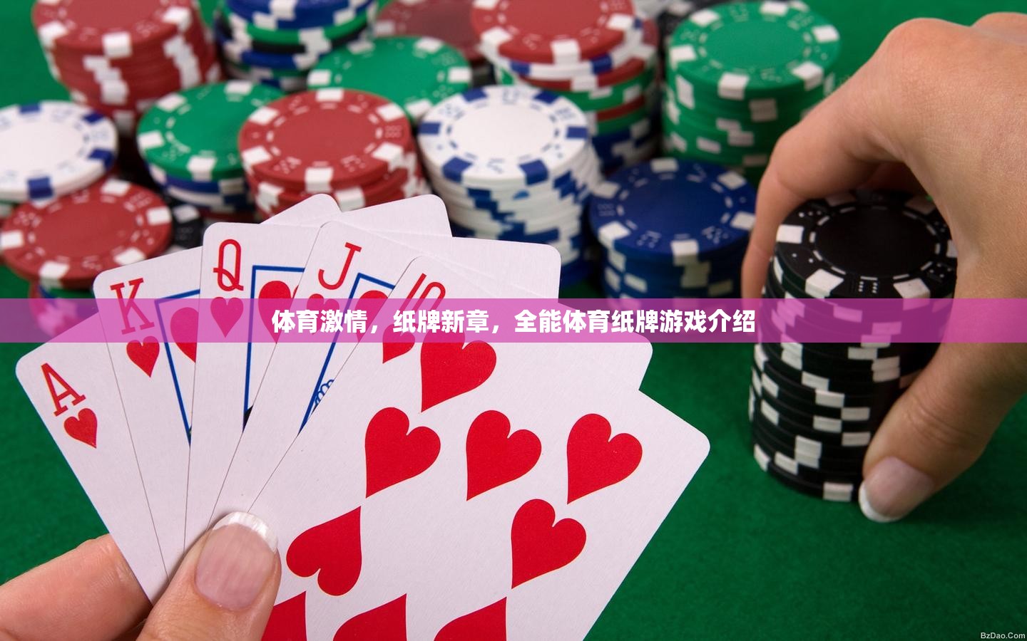 體育激情，紙牌新章，全能體育紙牌游戲介紹