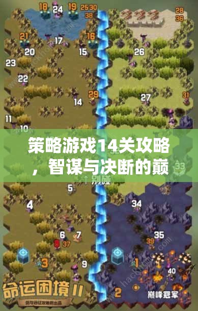 智謀與決斷的巔峰對(duì)決，策略游戲第14關(guān)攻略指南