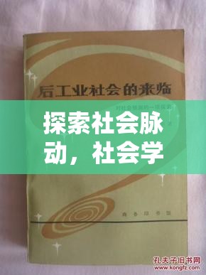 社會棱鏡，探索與角色扮演——社會學(xué)在互動游戲中的實踐與啟示