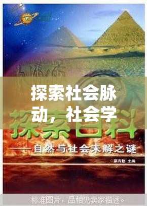 社會棱鏡，探索與角色扮演——社會學(xué)在互動游戲中的實踐與啟示