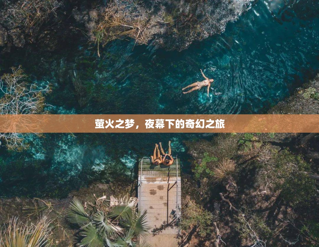 夜幕下的奇幻之旅，螢火之夢(mèng)的璀璨篇章