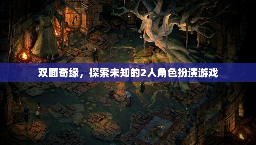 雙面奇緣，探索未知的2人角色扮演游戲