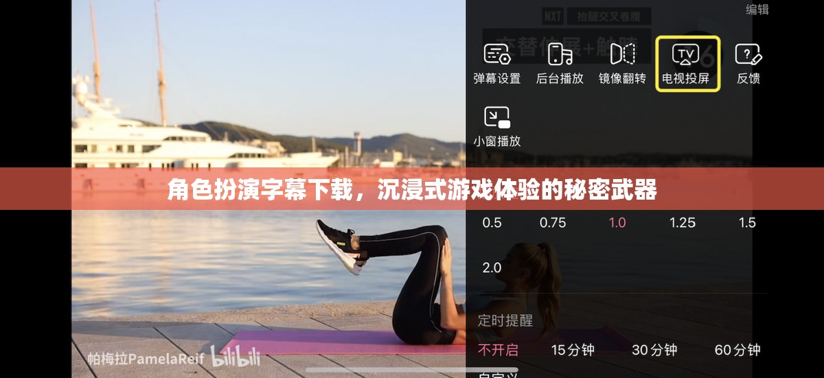 解鎖沉浸式游戲體驗(yàn)，角色扮演字幕下載的秘密