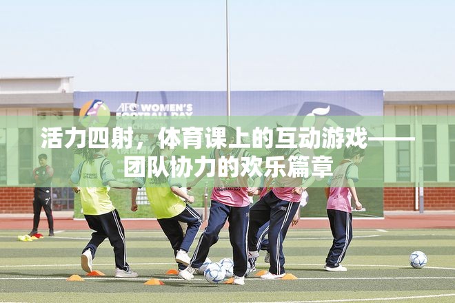 活力四射，體育課上的互動游戲——團隊協(xié)力的歡樂篇章