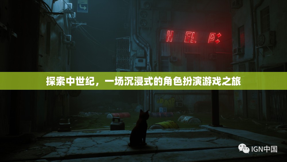 探索中世紀(jì)，一場(chǎng)沉浸式的角色扮演游戲之旅