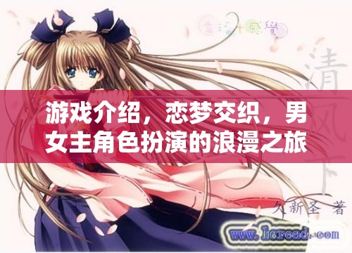 戀夢交織，男女主角的浪漫冒險之旅