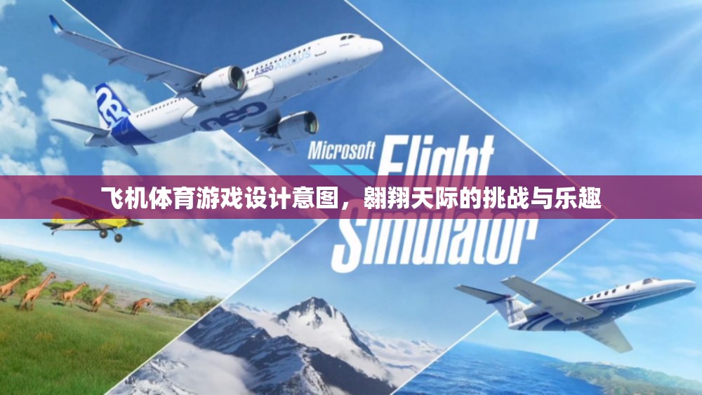 翱翔天際，飛機體育游戲的挑戰(zhàn)與樂趣設計意圖