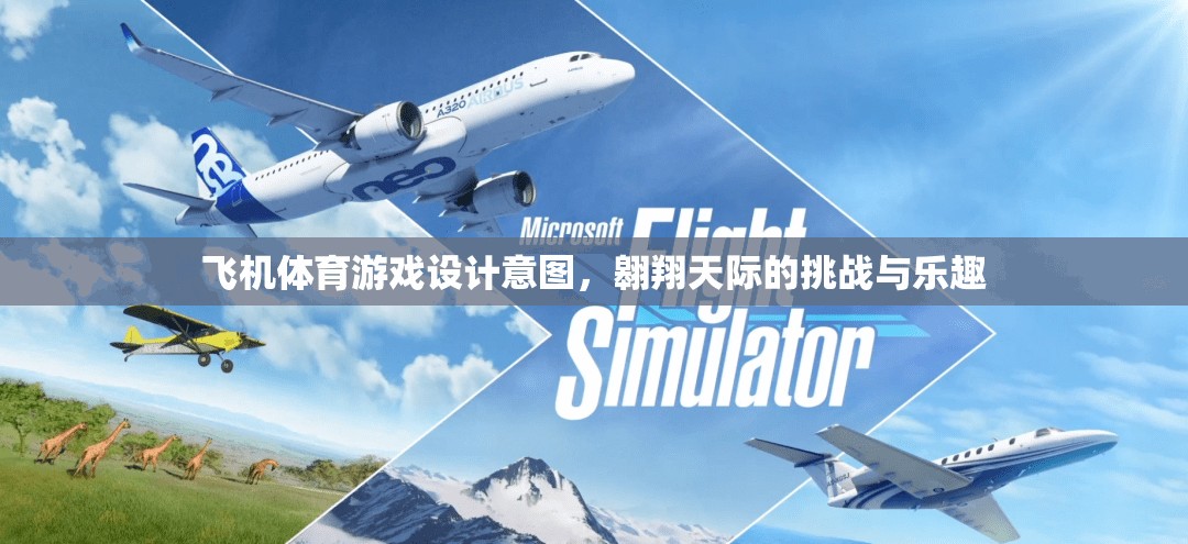 翱翔天際，飛機體育游戲的挑戰(zhàn)與樂趣設計意圖