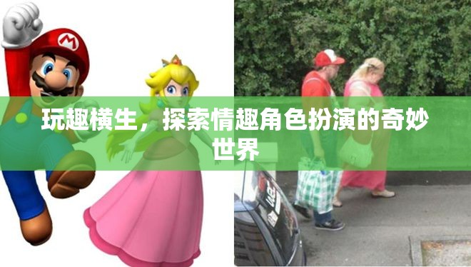 玩趣橫生，探索情趣角色扮演的奇妙世界