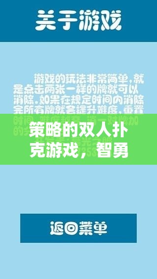 智勇對決，策略雙人對決的撲克精彩篇章  第3張