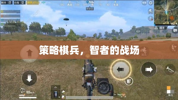 策略棋兵，智者的戰(zhàn)場(chǎng)