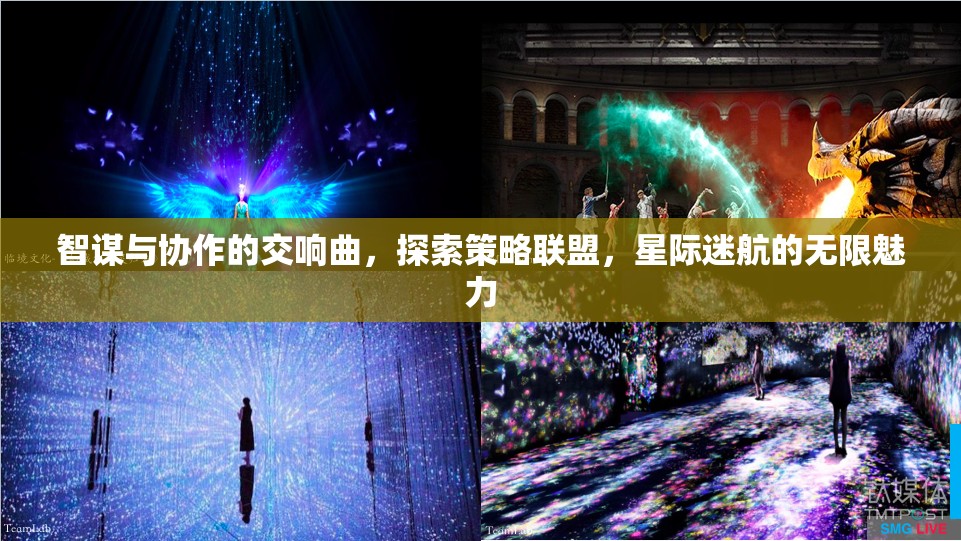 智謀與協(xié)作的交響，星際迷航中的策略聯(lián)盟魅力