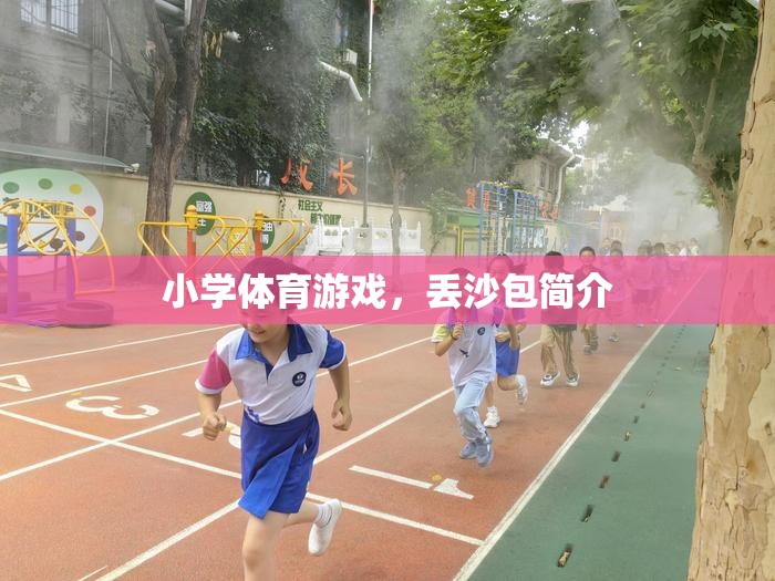小學(xué)體育游戲，丟沙包簡介