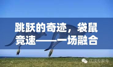 跳躍的奇跡，袋鼠競速——一場融合自然與競技的趣味盛宴