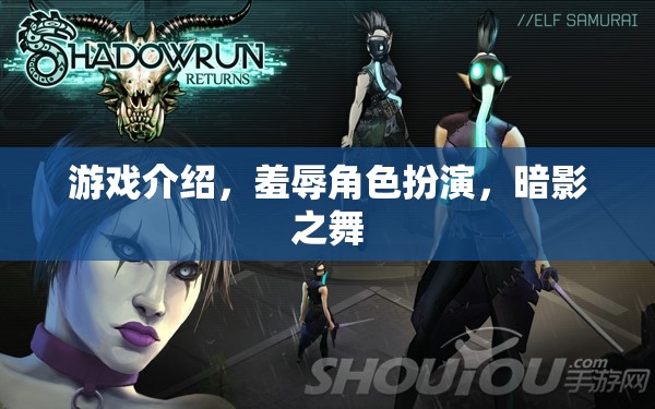 暗影之舞，羞辱角色扮演的沉浸式游戲體驗(yàn)