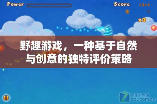 野趣游戲，自然與創(chuàng)意的獨特評價策略