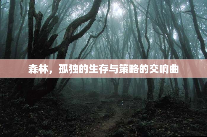 森林，孤獨(dú)生存與策略的交響曲
