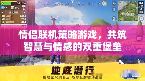 智慧與情感的雙重挑戰(zhàn)，情侶聯(lián)機(jī)策略游戲