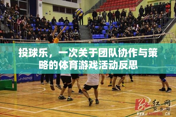 投球樂，團(tuán)隊(duì)協(xié)作與策略的體育游戲活動反思