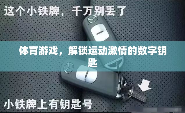 解鎖運(yùn)動激情，體育游戲的數(shù)字鑰匙