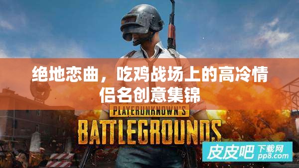 絕地戀曲，吃雞戰(zhàn)場上的高冷情侶名創(chuàng)意集錦