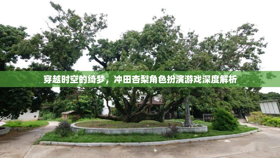 穿越時空的綺夢，沖田杏梨角色扮演游戲深度解析