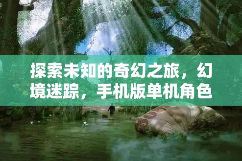 探索未知的奇幻之旅，幻境迷蹤，手機(jī)版單機(jī)角色扮演游戲深度解析