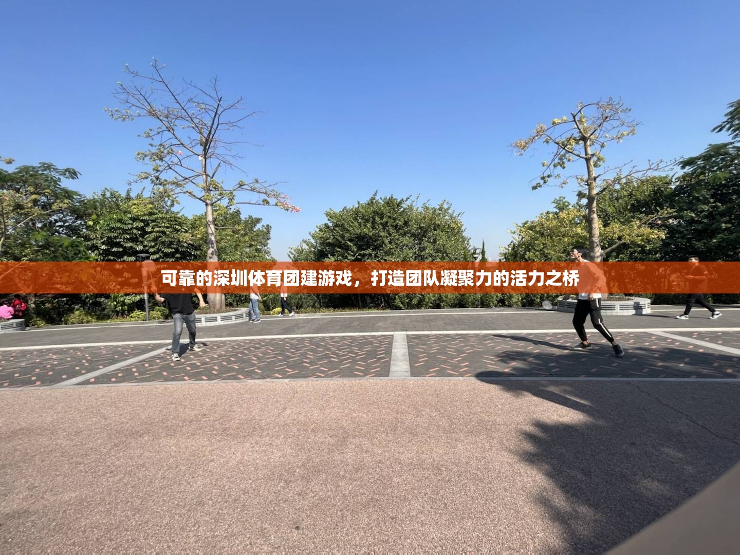 深圳體育團建游戲，打造團隊凝聚力的活力之橋  第1張