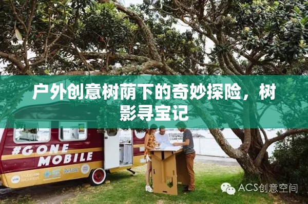 樹蔭下的奇妙探險，樹影尋寶記