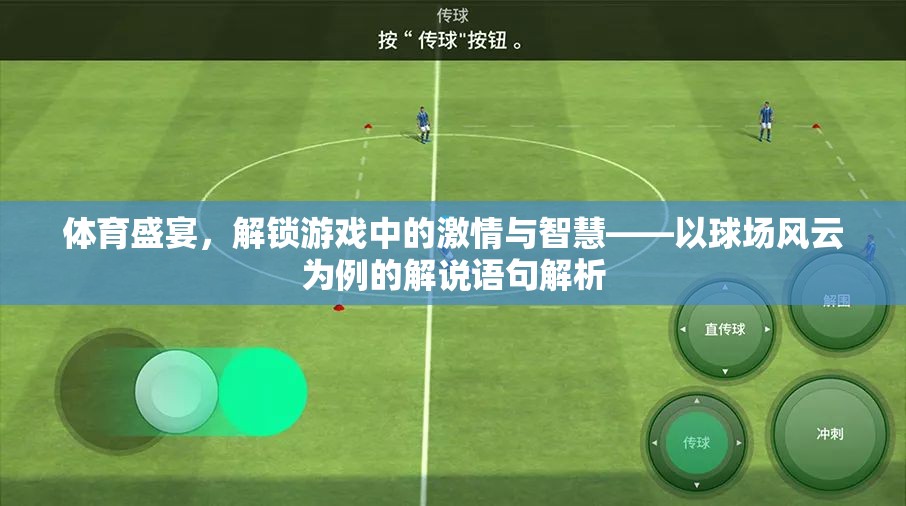球場風(fēng)云，解鎖體育盛宴中的激情與智慧