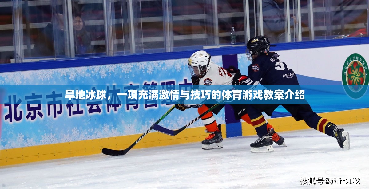 旱地冰球，激情與技巧并存的體育游戲教案指南